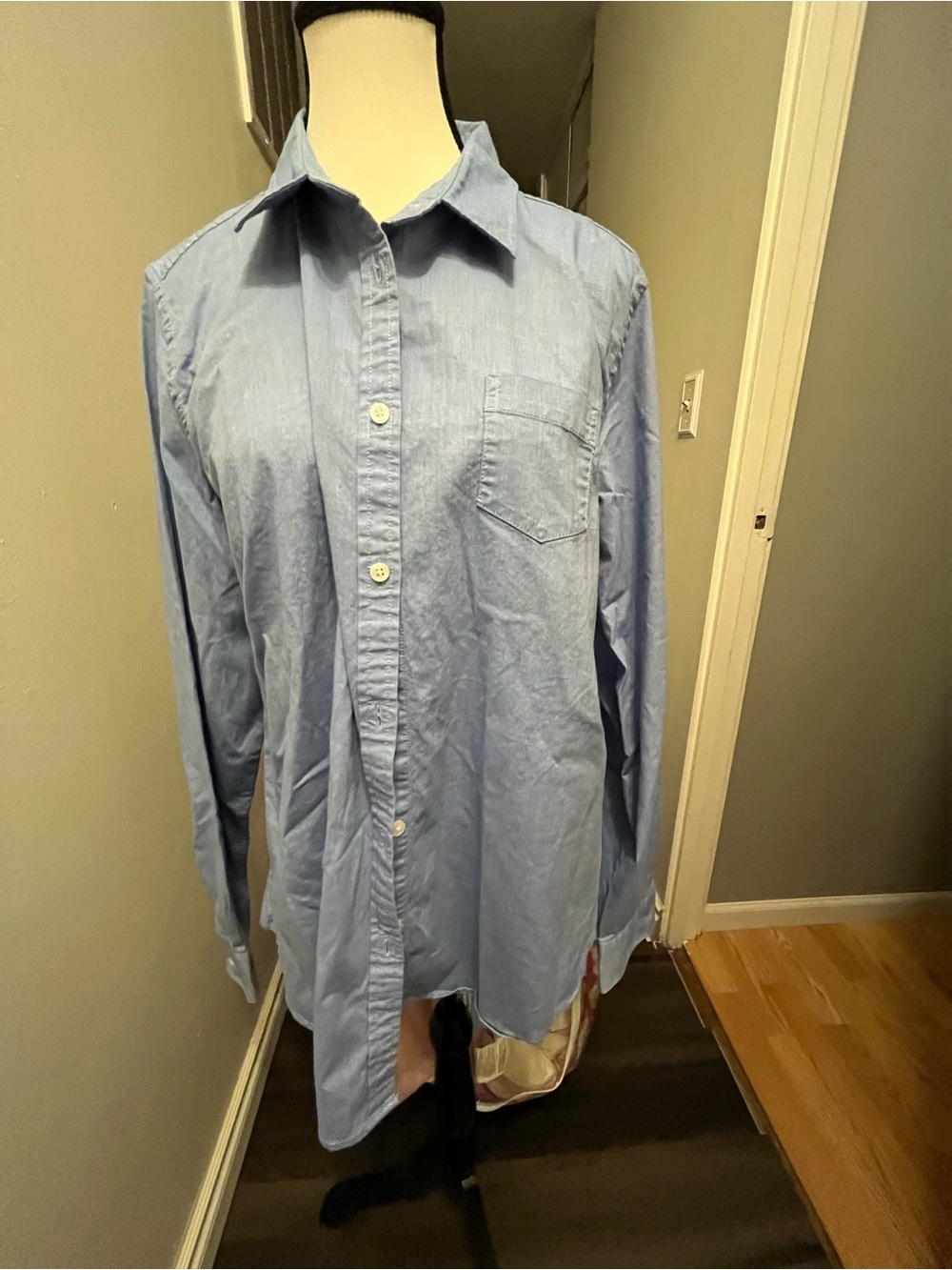 American Eagle Outfitters Light Blue Button-Down Shirt